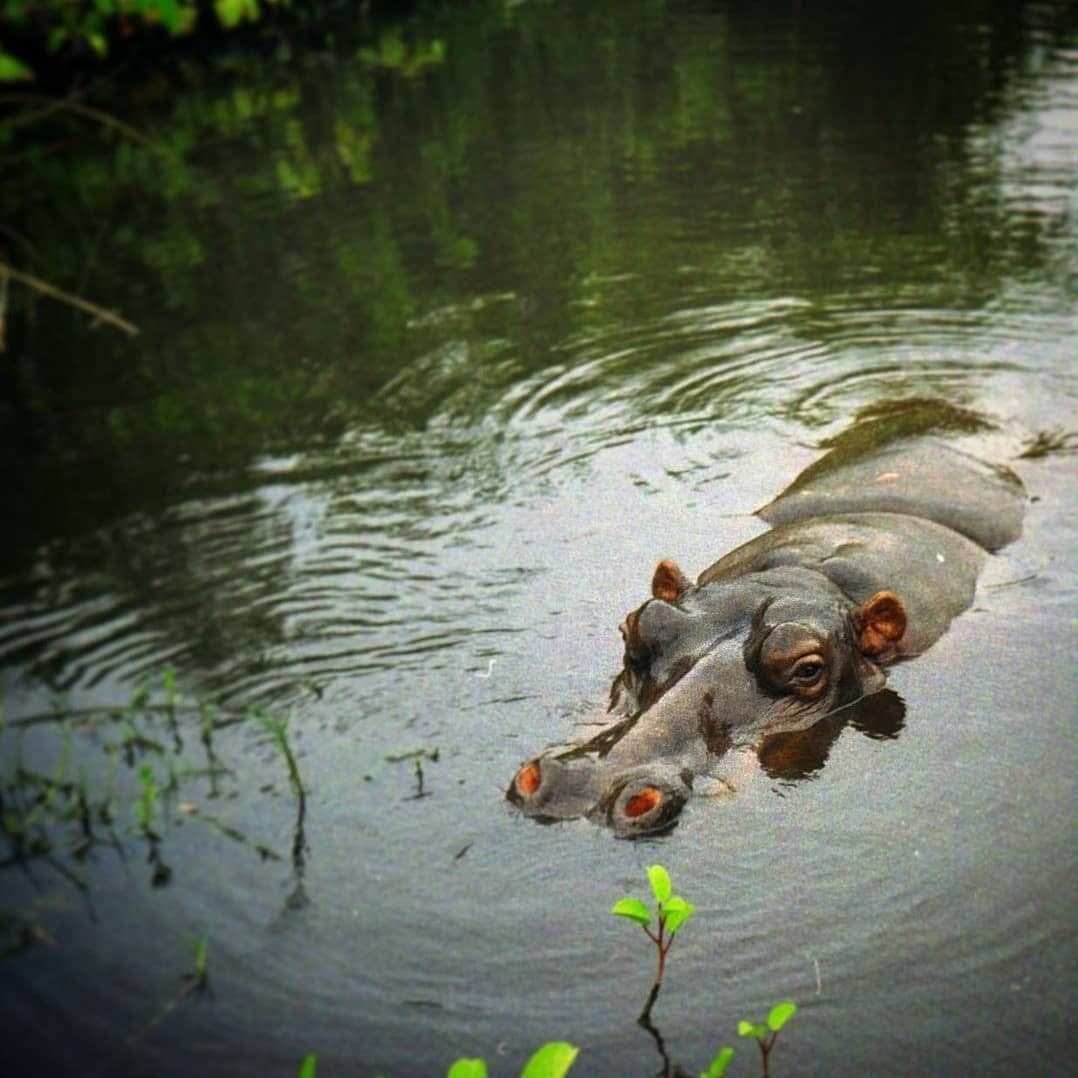 Conservation Parks & Wildlife